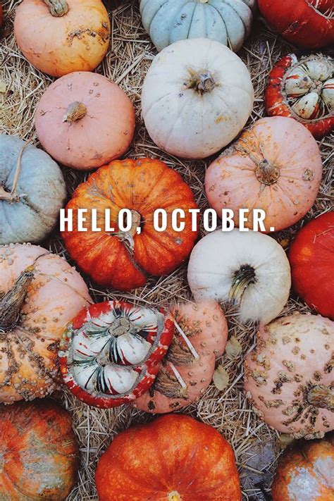 100 Hello October With Pumpkin Wallpapers