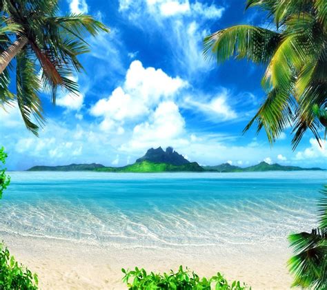 🔥 Free Download Pics Photos 3d Beach Background Wallpaper Beach Tree