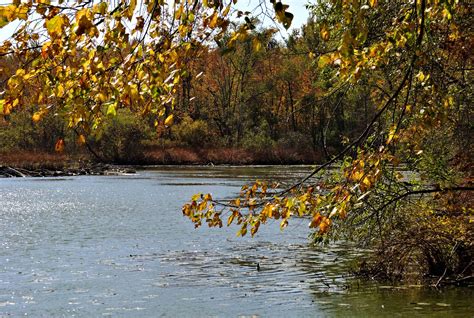 Free Images Tree Water Nature Sunlight Leaf Fall Flower River