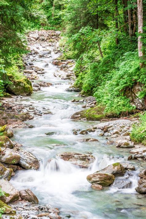 Forest Mountain River Running Over Rocks Stock Image Image Of Rain