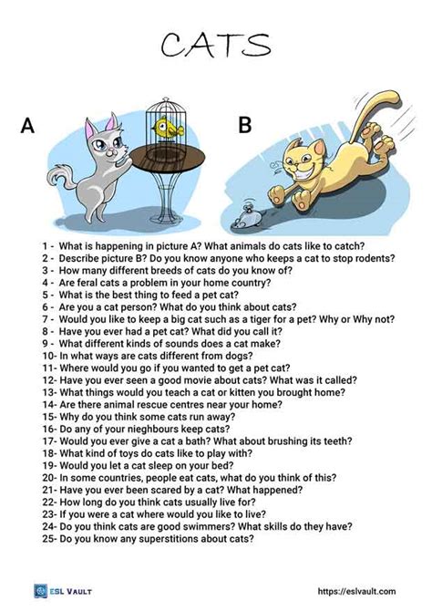 25 Cat Conversation Questions Esl Vault