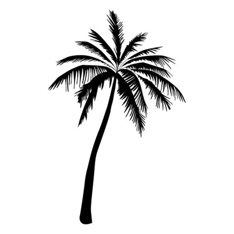 La gente de negocios, conjunto de siluetas vector. Tall palm tree silhouette palm - Transparent PNG & SVG ...