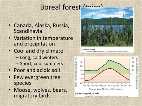 Ppt Ecology Powerpoint Presentation Free Download Id1951583