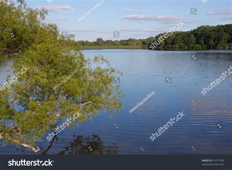 View Of Pierce Lake At Rock Cut State Park In Northern Illinois Stock