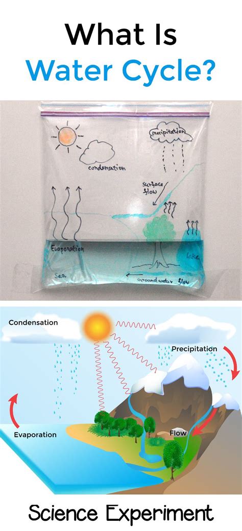 (opens in a new window). Water Cycle | Stem for kids, Water cycle model, Science ...