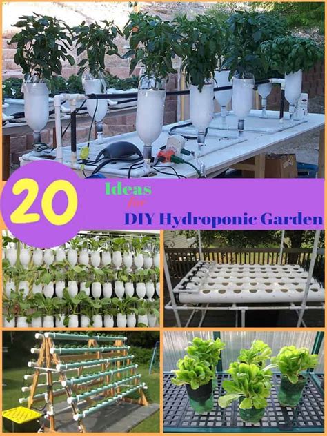 You can provide all five in a hydroponic garden. Go green and create your own hydroponics system by growing plants in water. Read on to learn 20 ...