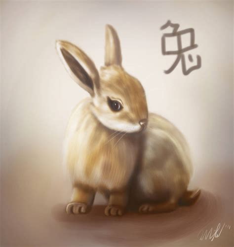 Rabbit Year By Cicakkia On Deviantart