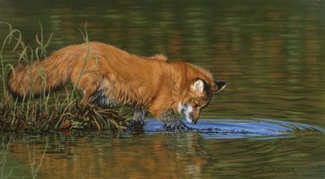 324 best images about GREAT WILDLIFE ARTISTS on Pinterest | Limited
