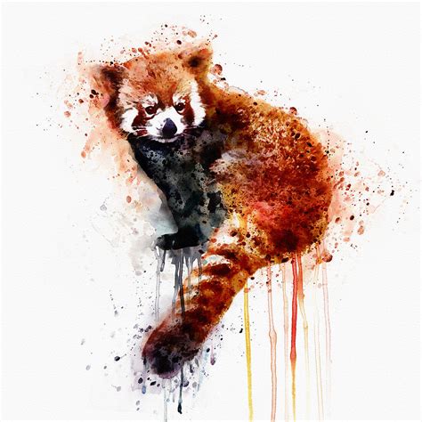 Red Panda Painting By Marian Voicu Pixels