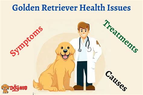 10 Golden Retriever Health Issues Symptoms Causes And Treatments