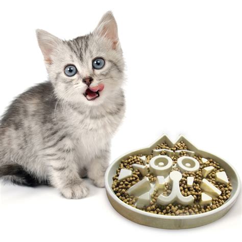 Who should buy a cat bowl. Slow Feed Cat Bowl Suggested To Stop Cats from Throwing Up ...