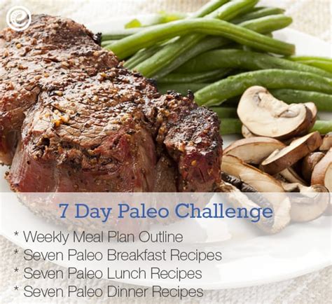 Free 7 Day Paleo Challenge Jamonkey