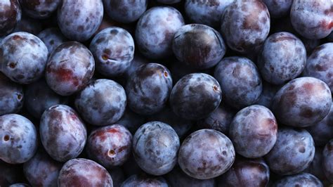 Best Ways To Store And Use Plums Love Food Hate Waste Canada