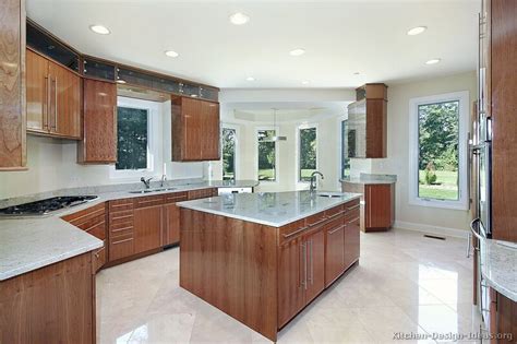 Contemporary Kitchen Cabinets Pictures And Design Ideas