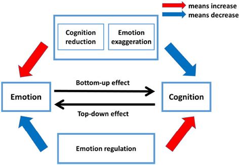 The Interactive Influence Model Of Emotion And Cognition Iiec Download Scientific Diagram