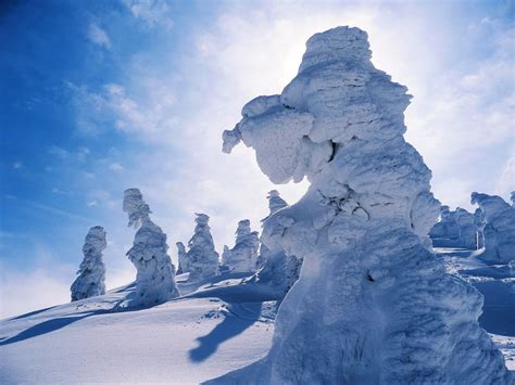 Mt Zao Snow Monsters Japan 蔵王山の樹氷 The Trees On Top Of