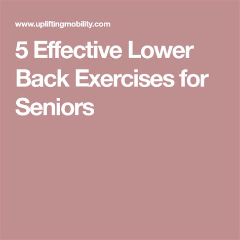 5 Effective Lower Back Exercises For Seniors Lower Back Exercises