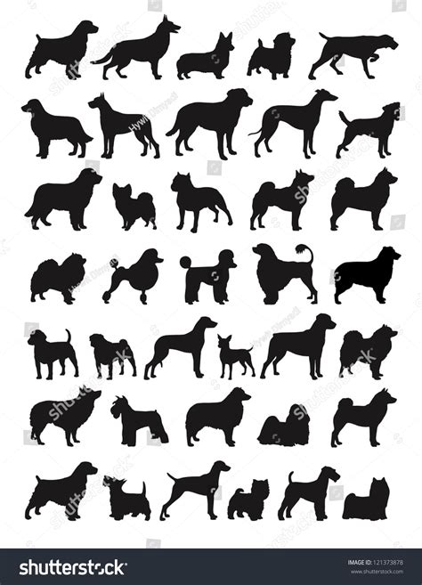 Many Dog Breeds Silhouettes Stock Vector Royalty Free 121373878
