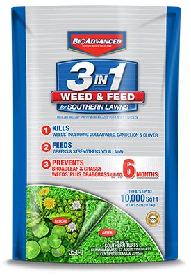 We did not find results for: Southern Lawn Fertilizer Schedule - Budapestsightseeing.org
