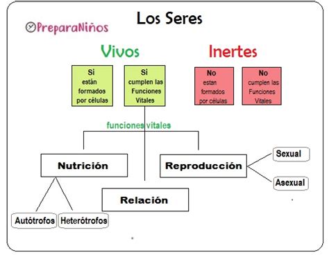 La Diversidad De Los Seres Vivos Diferencias Entre Seres Vivos Y