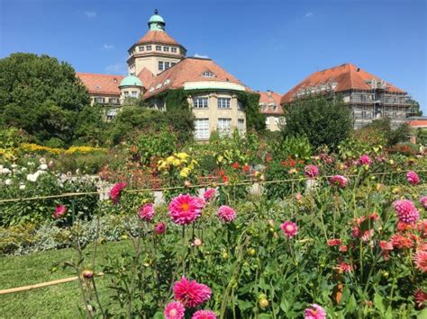 Genießen sie den aufenthalt im botanischen garten. Botanischer Garten Muenchen-Nymphenburg - Picture of ...