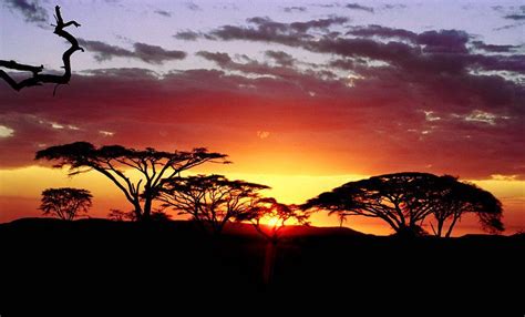 Africa African Sunset Africa Day South African Sunset