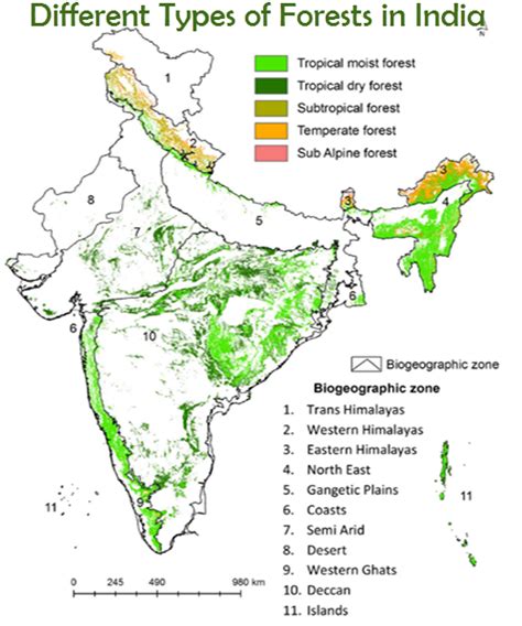 Map showing forest vegetation in india locating different kinds of forest vegetation like mangrove forest, scrubs, open forest and dense forest. Different Types of Forests in India (With images ...