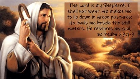 Psalm 231 3 Our Shepherd Wellspring Christian Ministries