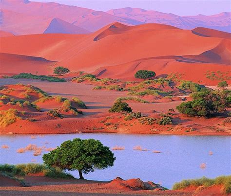 Namibia 💖 Namib Desert Scenic Travel Namibia