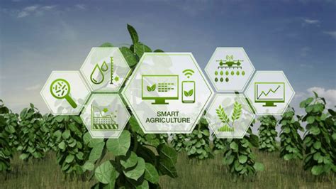 Iot Enabled Smart Farming The Future Of Agriculture