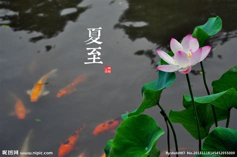 The site owner hides the web page description. 夏至摄影图__自然风景_自然景观_摄影图库_昵图网nipic.com