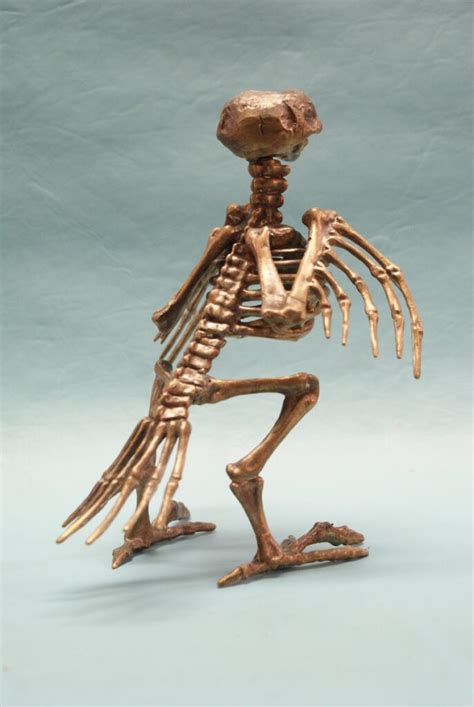 Bird Skeleton Bronze Art By William Miles
