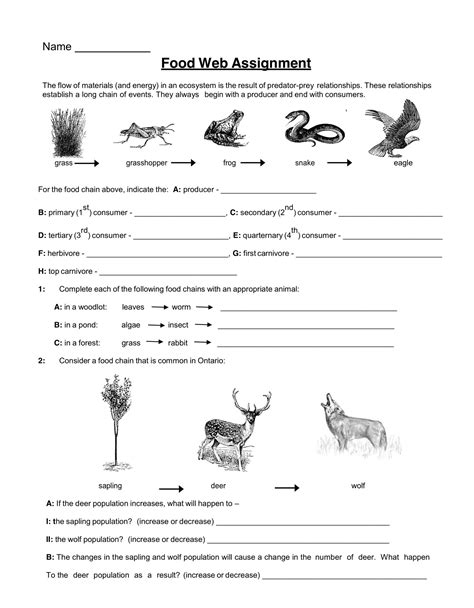 Food Webs And Food Chain Worksheets