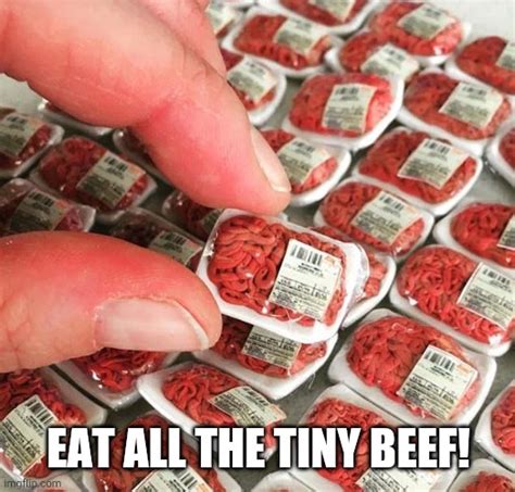 Image Tagged In Tiny Beef Imgflip
