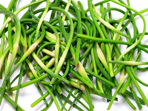 Garlic Scapes What Are They And What Do You Do With Them Garlic