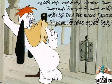 Funny friendship quotes images in hindi; Sinhala Funny Quotes. QuotesGram