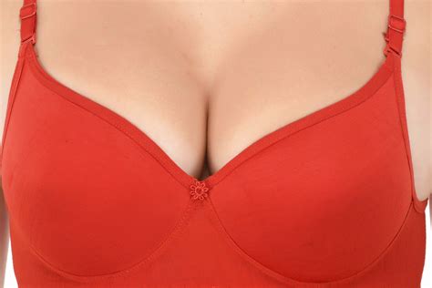 Buy Lizaray Cotton Push Up Bra Red Online At Best Prices In India