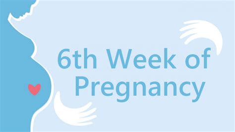 6 Weeks Pregnant Symptoms And Signs Pregnancy Week By Week