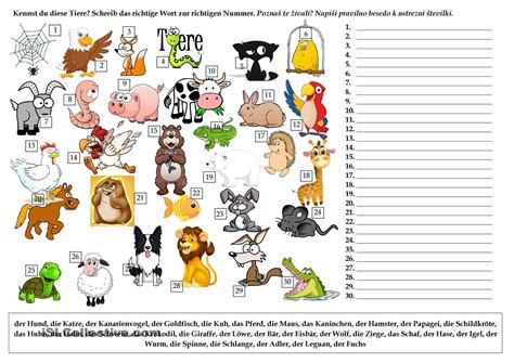 Tiere Waldtiere Deutsche Sprache Lernen Arbeitsblätter
