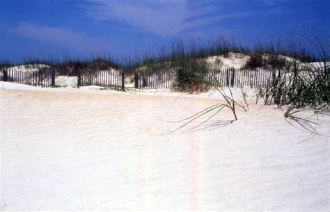Florida Memory - Sand dunes at Daytona Beach.