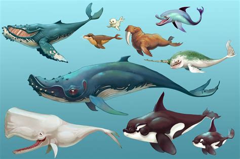 The basking shark is one of the many new sharks added into hungry shark world and is one of the 3 xxl tier sharks in the game alongside the great white shark and whale shark. ArtStation - Hungry Shark World - Animal/Creature Concept ...