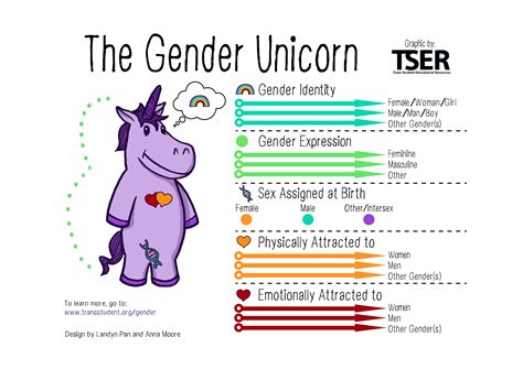 The Gender Galaxy University Of Illinois Counseling Center