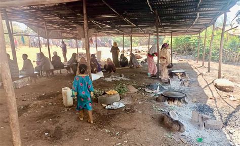 News At Least 50 Killed On Idps Shelter In East Wollega Attack Blamed