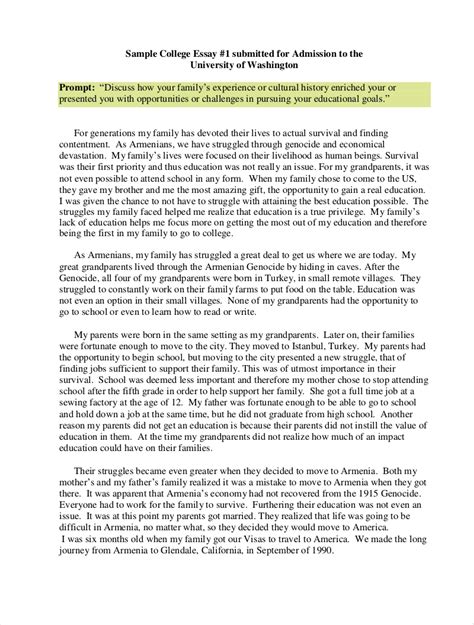 9 College Essay Examples Free Pdf Format Download Examples