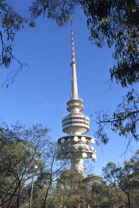 Telstra Tower Montaña Negra Australia Capital De Canberra Imagen De