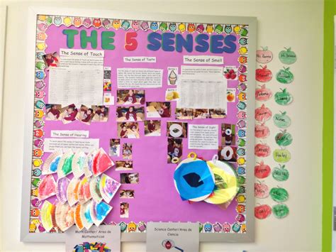5 Senses Board Sense Of Touch Bulletin Boards Senses Classroom
