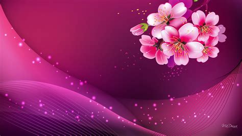 Pink Color Wallpapers 72 Pictures