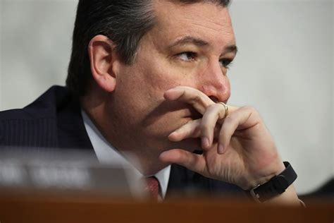Internet Blessed Us With Ted Cruz Memes After He Liked Porn On Twitter