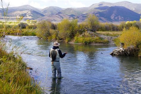 13 Best Fly Fishing Rivers In Montana