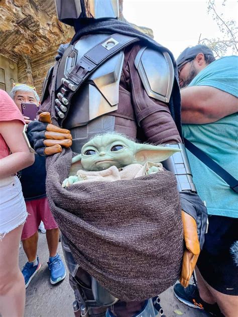 Star Wars Characters At Disney World Where To Find Them